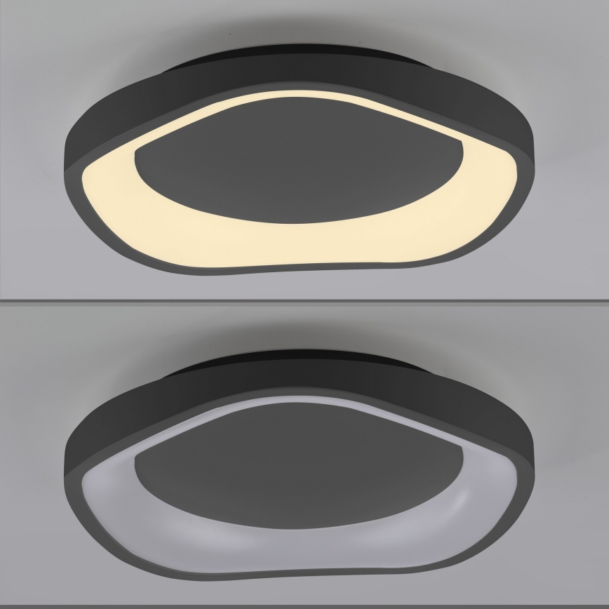 Schöner Wohnen 14233-18 - ściemnialna lampa sufitowa LED MONTA LED/21W/230V, śr. 40 cm, czarna