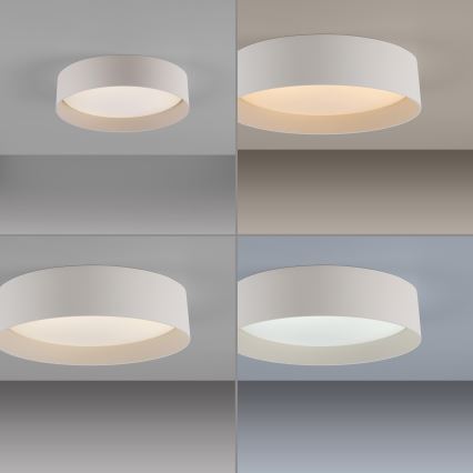 Schöner Wohnen 14593-39 - ściemnialna oprawa sufitowa TAVOLI LED/10W/230V 2700-6500K śr. 28,5 cm szary + pilot zdalnego sterowania