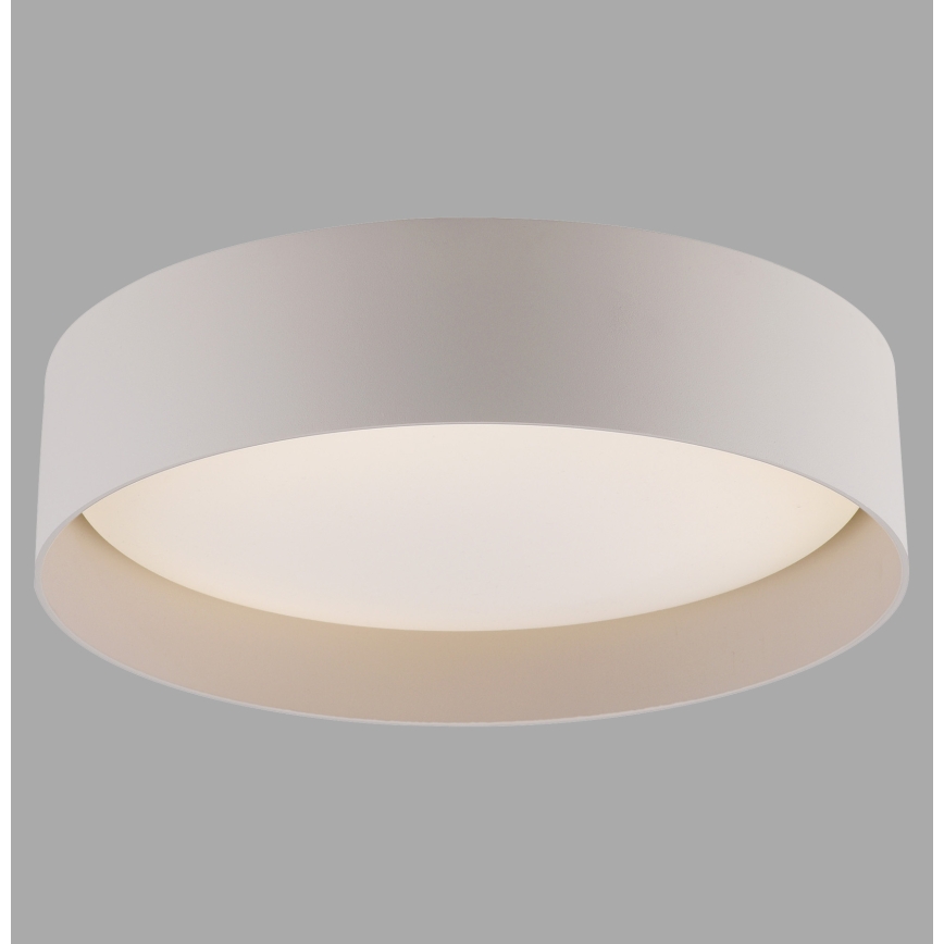 Schöner Wohnen 14593-39 - ściemnialna oprawa sufitowa TAVOLI LED/10W/230V 2700-6500K śr. 28,5 cm szary + pilot zdalnego sterowania