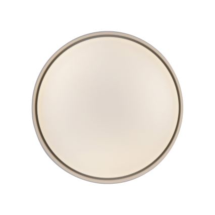 Schöner Wohnen 14593-39 - ściemnialna oprawa sufitowa TAVOLI LED/10W/230V 2700-6500K śr. 28,5 cm szary + pilot zdalnego sterowania