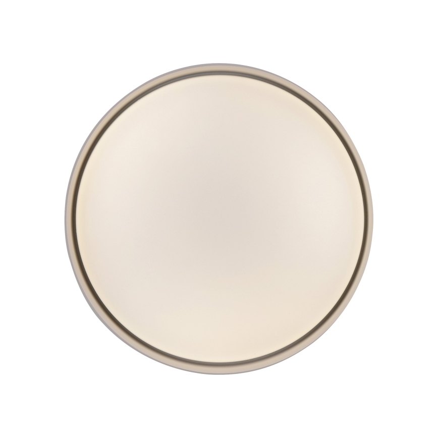 Schöner Wohnen 14593-39 - ściemnialna oprawa sufitowa TAVOLI LED/10W/230V 2700-6500K śr. 28,5 cm szary + pilot zdalnego sterowania