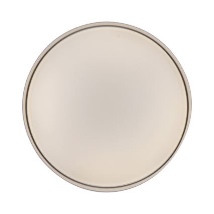 Schöner Wohnen 14594-39 - Ściemnialna oprawa sufitowa LED TAVOLI LED/20W/230V 2700-6500K Ø 39 cm szara + pilot zdalnego sterowania