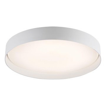 Schöner Wohnen 14595-16 - ściemnialny plafon LED TAVOLI LED/34W/230V 2700-6500K średnica 49 cm biały + pilot zdalnego sterowania