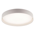 Schöner Wohnen 14595-39 - ściemnialna lampa sufitowa TAVOLI LED/34W/230V 2700-6500K Ø 49 cm szara + pilot zdalnego sterowania