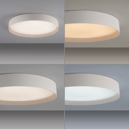 Schöner Wohnen 14595-39 - ściemnialna lampa sufitowa TAVOLI LED/34W/230V 2700-6500K Ø 49 cm szara + pilot zdalnego sterowania