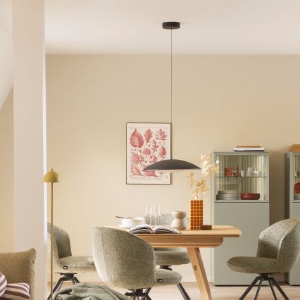 Schöner Wohnen 14606-18 - Ściemnialna lampa wisząca LED na lince LENTE LED/17W/230V Ø 40 cm czarna