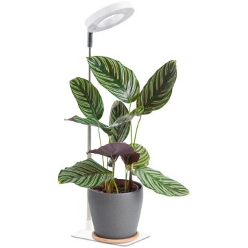 Ściemnialna lampa biurkowa LED do uprawy roślin VERDI LED/5W/5V 1300K CRI 95 biała