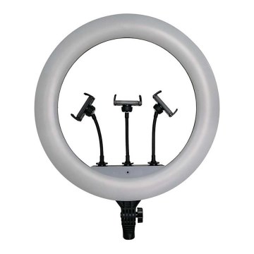 Ściemnialna lampa LED ze statywem i uchwytem do vlogowania LED/55W/230V CRI 90 + pilot zdalnego sterowania