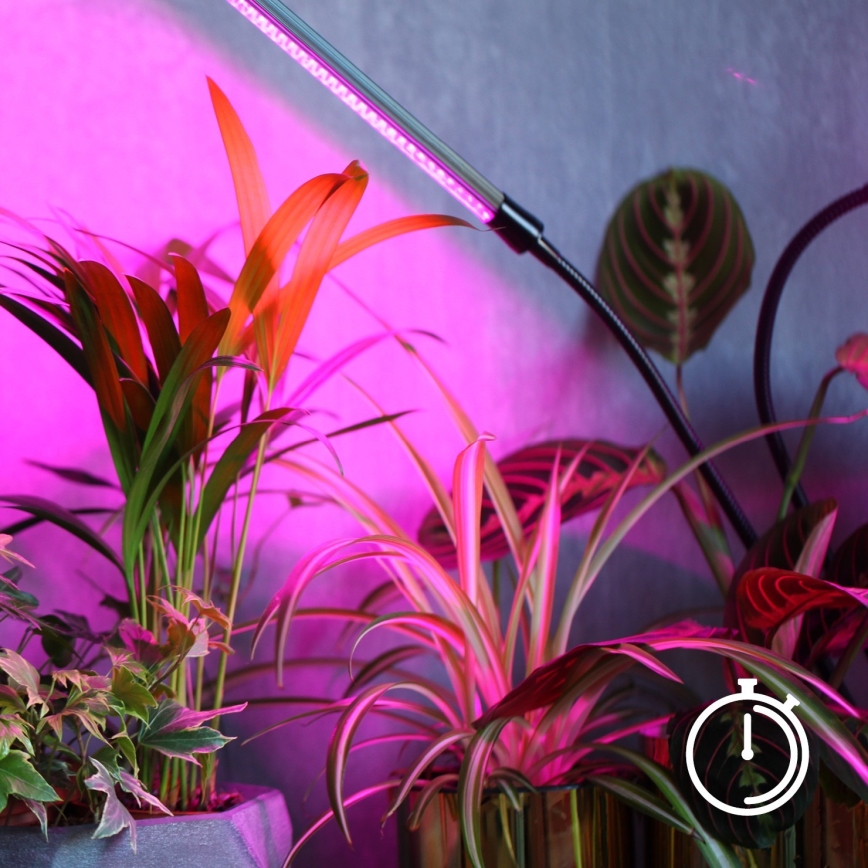 LED z regulacją jasności giętna lampa biurkowa do uprawy roślin VITARO 4xLED/10W/230V czarna