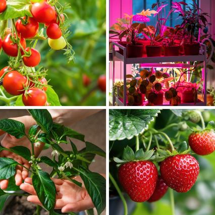 LED z regulacją jasności giętna lampa biurkowa do uprawy roślin VITARO 4xLED/10W/230V czarna