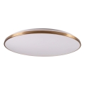 Ściemnialna lampa sufitowa LED KERN LED/80W/230V 3000/4000/6000K śr. 80 cm złota + pilot zdalnego sterowania