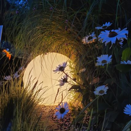 LED RGBW ściemnialna lampa zewnętrzna GLOBO 1xE27/9W/230V 2700-6500K Ø 30 cm IP44 Wi-Fi