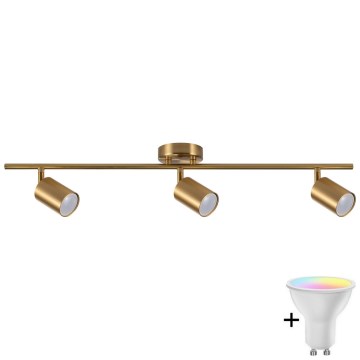 Ściemnialna oprawa punktowa LED RGBW GOLDI 3xGU10/6,5W/230V 2700-6500K Wi-Fi złota