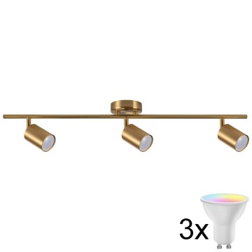 Ściemnialna oprawa punktowa LED RGBW GOLDIE 3xGU10/4,8W/230V 3000K złota + pilot zdalnego sterowania