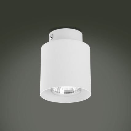 Ściemnialna oprawa punktowa LED RGBW VICO WHITE 1xGU10/6,5W/230V 2700-6500K