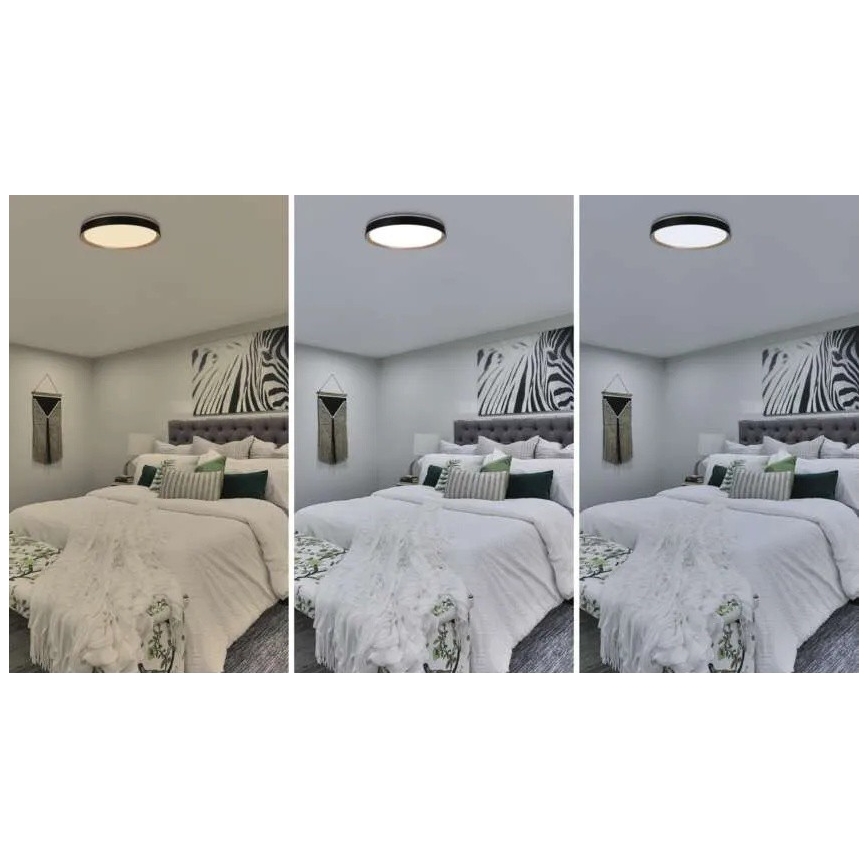 Ściemniwalna lampa sufitowa LED ILVI LED/45W/230V 2700-6500K śr. 50 cm czarny/beżowy + pilot zdalnego sterowania