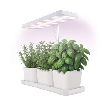 Ściemnialna wewnętrzna lampa LED do uprawy roślin GROW LED/7W/5V