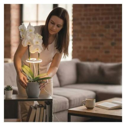 Ściemnialna wewnętrzna lampa LED do uprawy roślin GROW LED/8W/5V