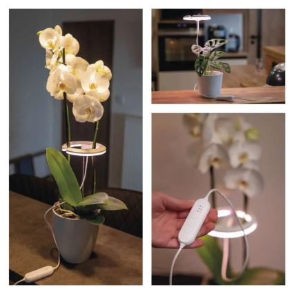 Ściemnialna wewnętrzna lampa LED do uprawy roślin GROW LED/8W/5V