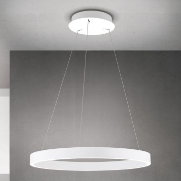ściemnialny żyrandol LED na lince KOLK LED/60W/230V 2700/3000/4000K śr. 60 cm biały