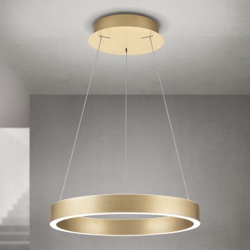 ściemnialny żyrandol LED na linku KOLK LED/40W/230V 2700/3000/4000K śr. 40 cm złoty