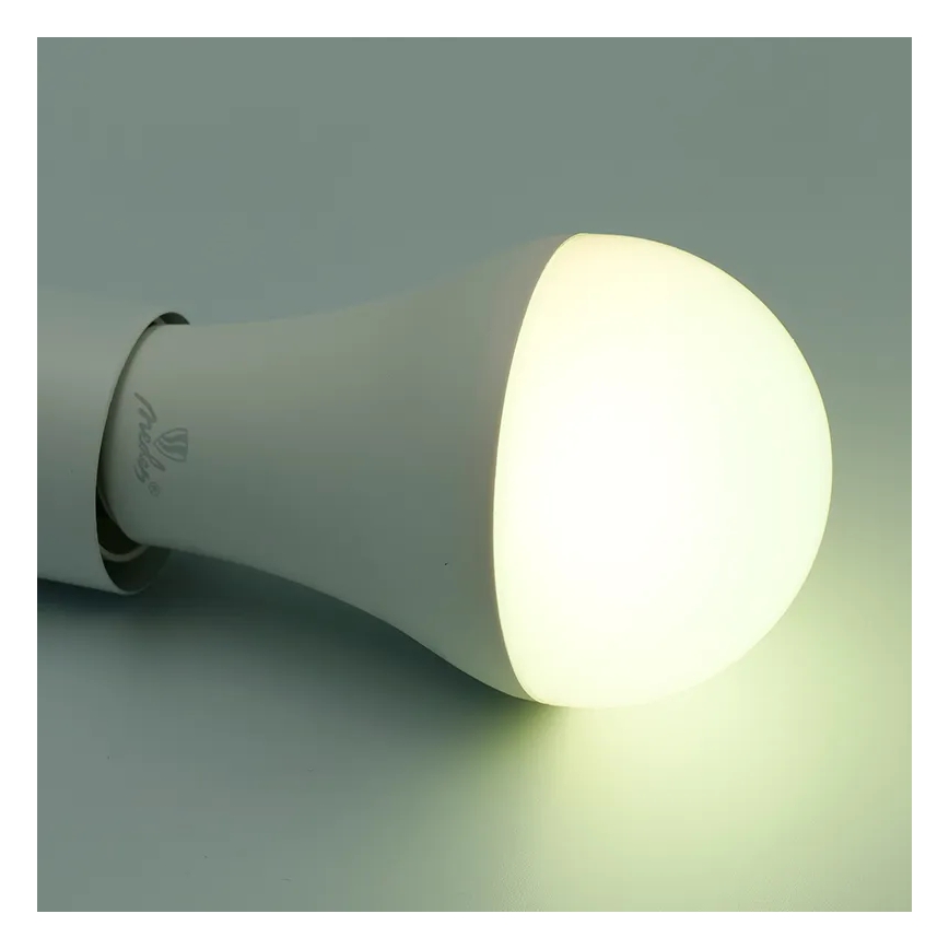 Ściemniana żarówka LED RGBW A60 E27/15W/230V 2700-6500K Wi-Fi Tuya
