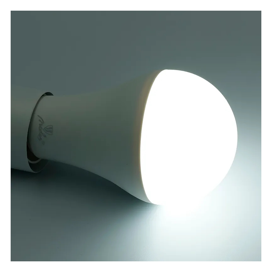 Ściemniana żarówka LED RGBW A60 E27/15W/230V 2700-6500K Wi-Fi Tuya