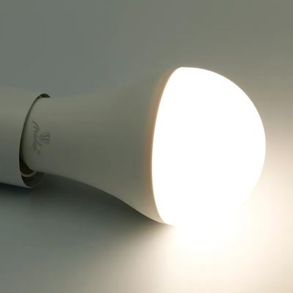 Ściemniana żarówka LED RGBW A60 E27/15W/230V 2700-6500K Wi-Fi Tuya