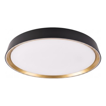 Ściemniwalna lampa sufitowa LED ILVI LED/45W/230V 2700-6500K śr. 50 cm czarny/beżowy + pilot zdalnego sterowania