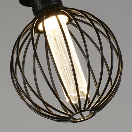 Searchlight - LED ściemnialna żarówka dekoracyjna GLOBE E27/4,5W/230V 2700K