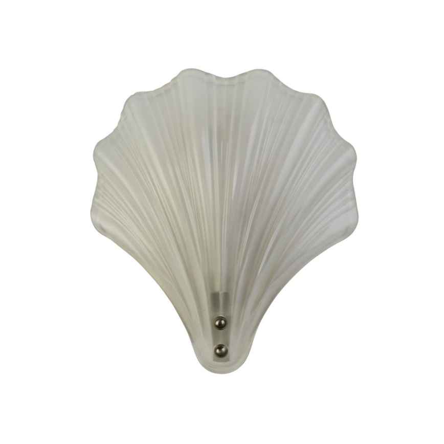 Searchlight - Kinkiet ścienny SHELL 1xG9/7W/230V biały