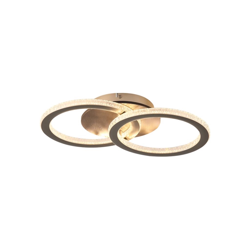 Searchlight - LED ściemnialna oprawa sufitowa SPECS LED/24W/230V 3000K 25x42,5 cm