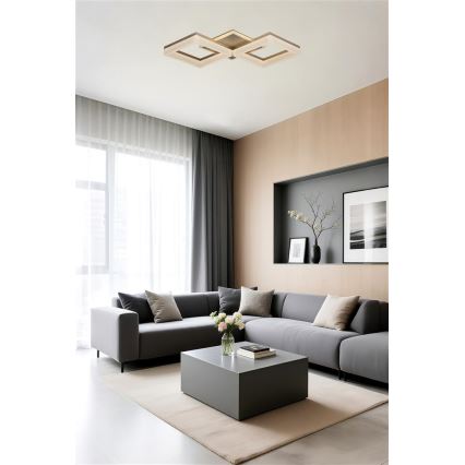 Searchlight - ściemnialna oprawa sufitowa LED FENCE LED/25W/230V