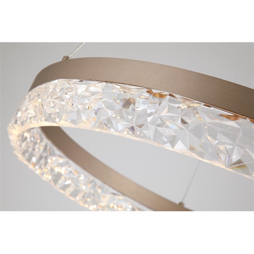 Searchlight - Ściemnialny żyrandol LED na linkach MADELEJNE LED/25W/230V