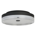 Searchlight - Lampa sufitowa LED CYPRUS LED/29W/230V śr. 40 cm czarna