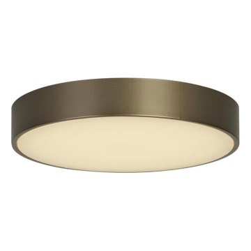 Searchlight - lampa sufitowa LED PALMA LED/12W/230V 3000K Ø 25 cm brązowa