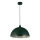 Searchlight - Lampa wisząca na lince MARS 1xE27/60W/230V śr. 25 cm zielona