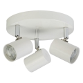 Searchlight - LED Oświetlenie punktowe ROLLO 3xLED/4W/230V biały