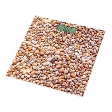 Sencor - Cyfrowa waga osobistaa z wyświetlaczem LCD 1xCR2032