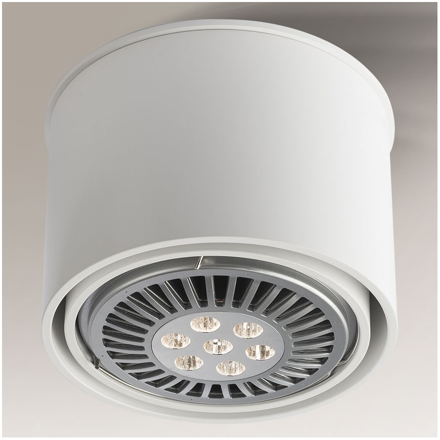 Shilo - Oświetlenie punktowe 1xGU10/15W/230V białe
