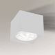 Shilo - Oświetlenie punktowe 1xGU10/15W/230V biały