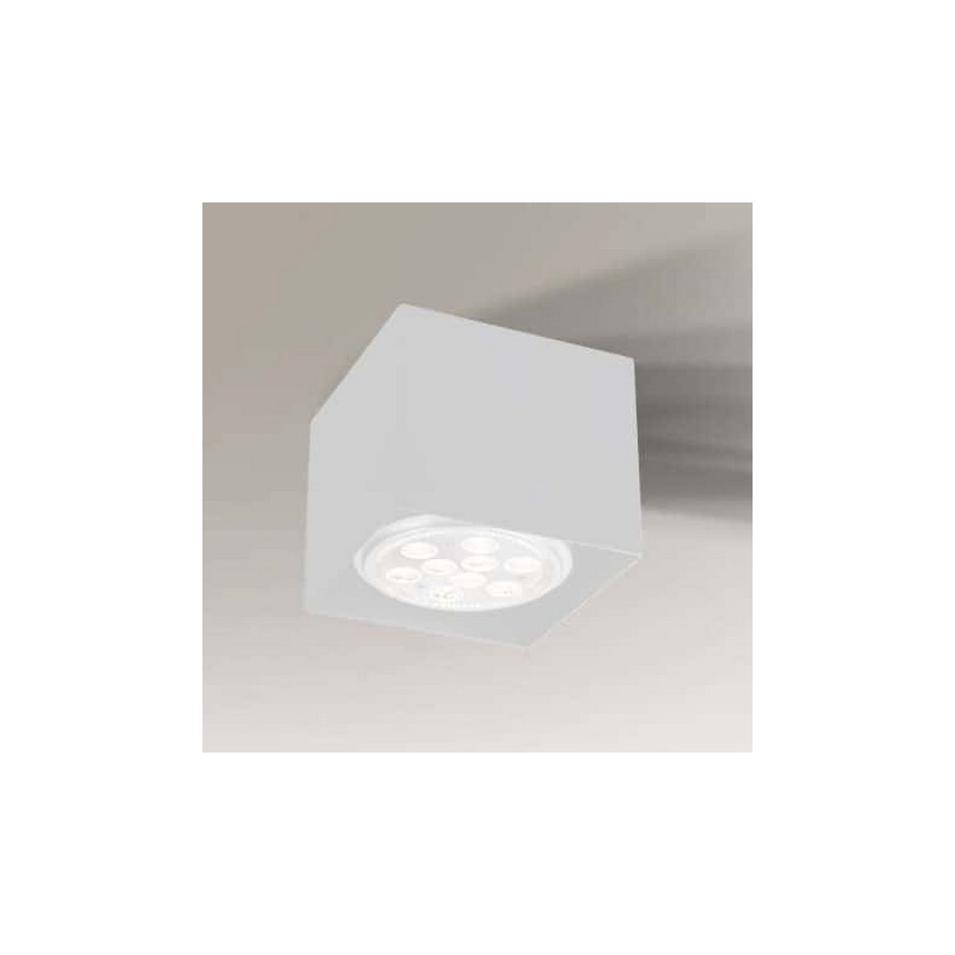 Shilo - Oświetlenie punktowe 1xGU10/15W/230V biały