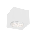 Shilo - Oświetlenie punktowe 1xGU10/15W/230V biały