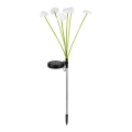 Solarny dekoracyjny lampion LED z czujnikiem 6xLED/1,2V 3000K 72 cm 600 mAh IP44