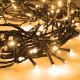 LED Zewnetrzny łańcuch bożonarodzeniowy 50xLED/8 funkcji  8m IP44 ciepła biel