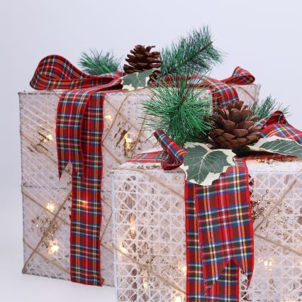 ZESTAW 3x LED Prezent świąteczny 48xLED/3,6W/230V IP44 ciepła biała