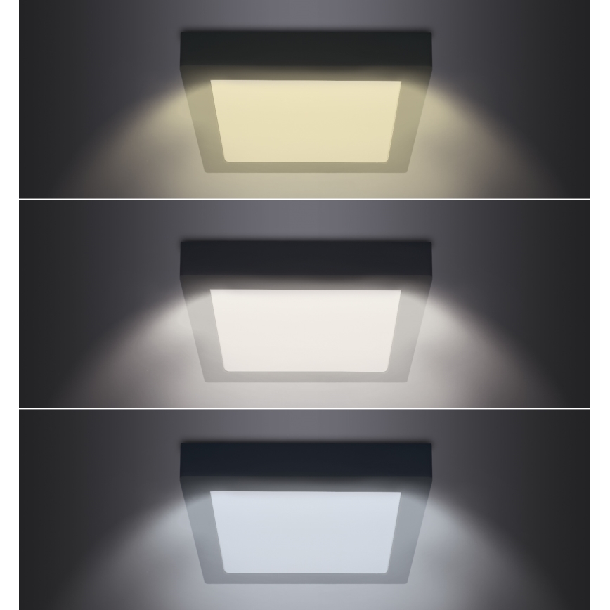 LED Plafon LED/12W/230V 3000/4000/6000K czarny kwadratowy
