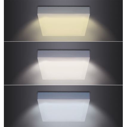 Lampa sufitowa LED/18W/230V 3000/4000/6000K 22,5x22,5 cm biała