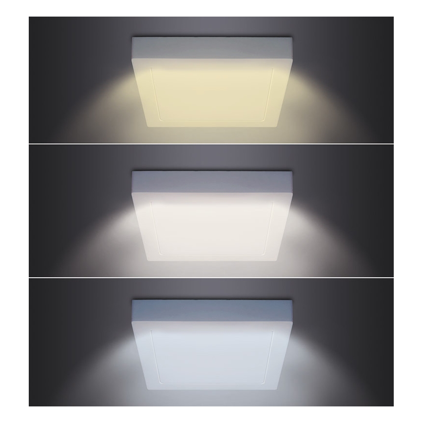 Lampa sufitowa LED/18W/230V 3000/4000/6000K 22,5x22,5 cm biała
