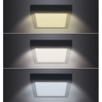 LED Plafon LED/24W/230V 3000/4000/6000K czarny okrągły